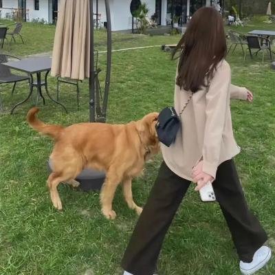 烈血大风暴