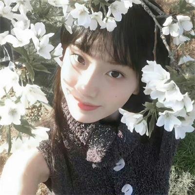 白蛇:情劫